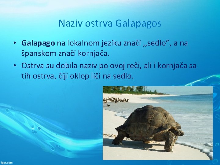 Naziv ostrva Galapagos • Galapago na lokalnom jeziku znači , , sedlo”, a na
