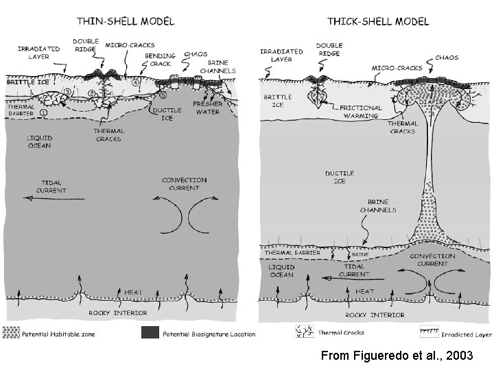 From Figueredo et al. , 2003 