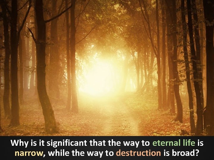 Why is it significant that the way to eternal life is narrow, while the Why is it significant that the way to eternal life is narrow, while the