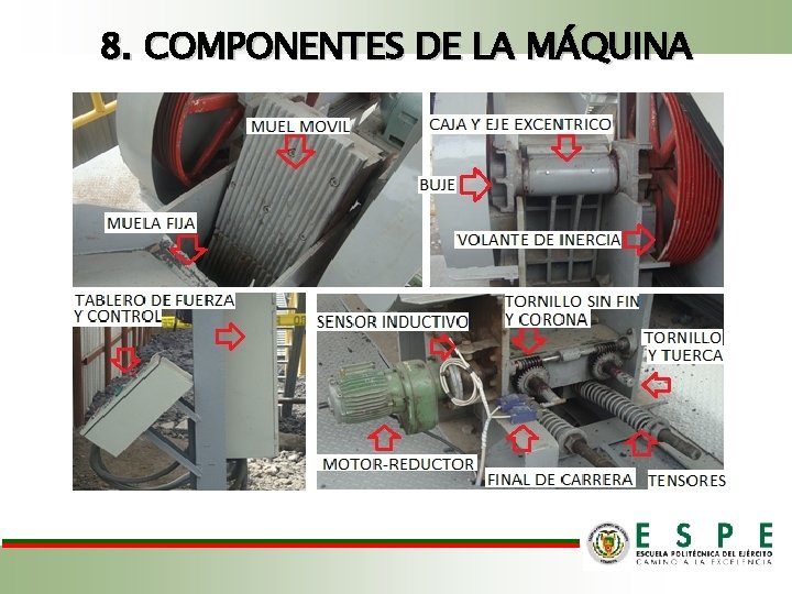 8. COMPONENTES DE LA MÁQUINA Los elementos que componen la máquina Trituradora son: 