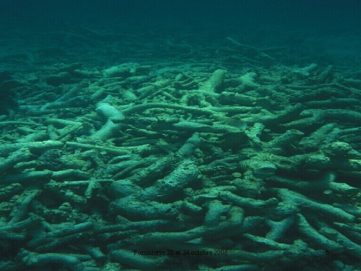 Formaterre 23 et 24 octobre 2006 6 