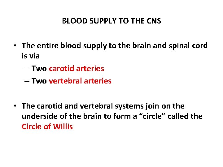 BLOOD SUPPLY TO THE CNS • The entire blood supply to the brain and