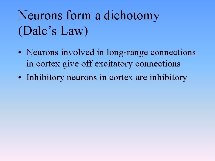 Neurons form a dichotomy (Dale’s Law) • Neurons involved in long-range connections in cortex