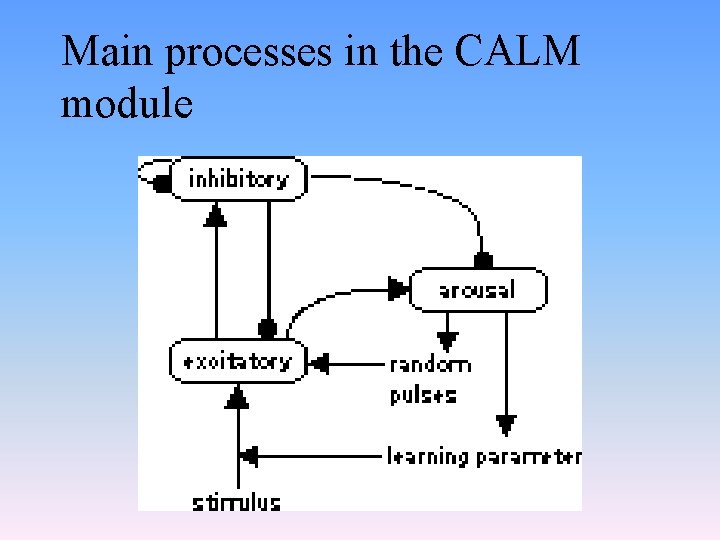 Main processes in the CALM module 