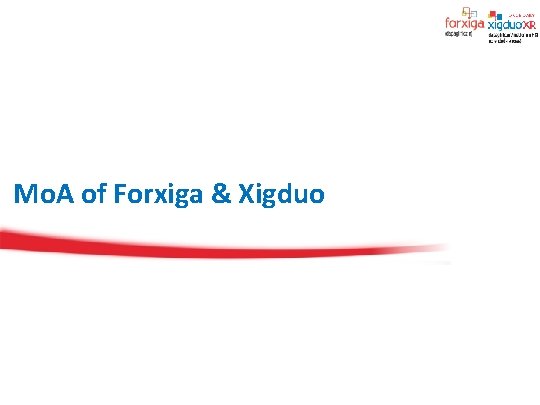 Mo. A of Forxiga & Xigduo 