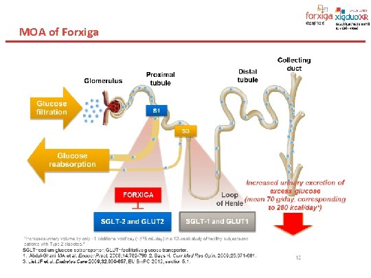 MOA of Forxiga 