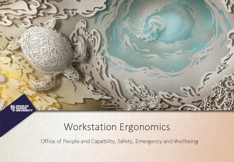 Workstation Ergonomics Office of People and Capability, Safety, Emergency and Wellbeing 