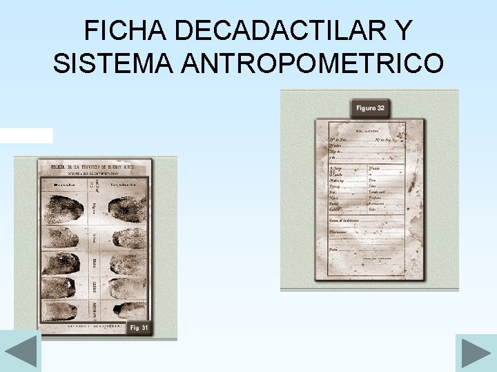 FICHA DECADACTILAR Y SISTEMA ANTROPOMETRICO 