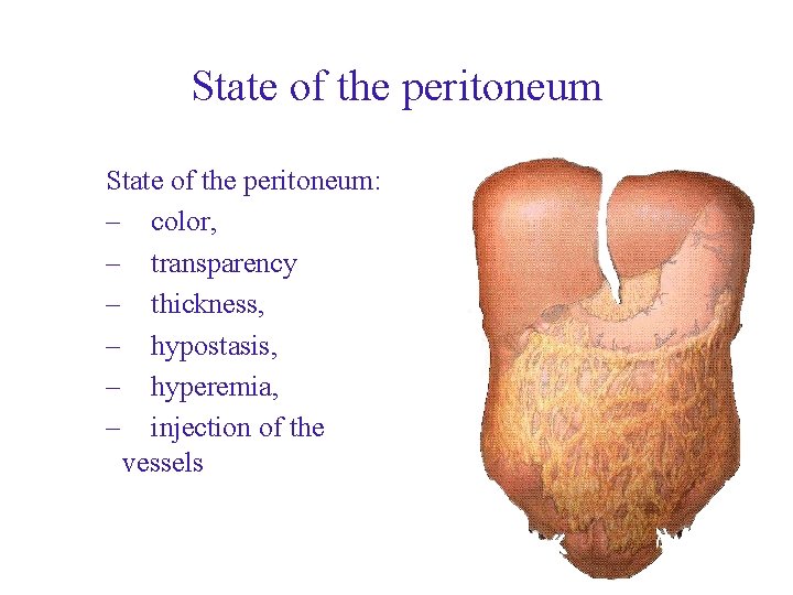 State of the peritoneum: – color, – transparency – thickness, – hypostasis, – hyperemia, State of the peritoneum: – color, – transparency – thickness, – hypostasis, – hyperemia,