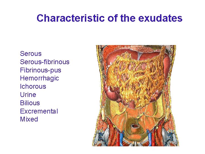 Characteristic of the exudates Serous-fibrinous Fibrinous-pus Hemorrhagic Ichorous Urine Bilious Excremental Mixed Characteristic of the exudates Serous-fibrinous Fibrinous-pus Hemorrhagic Ichorous Urine Bilious Excremental Mixed