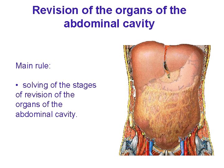 Revision of the organs of the abdominal cavity Main rule: • solving of the Revision of the organs of the abdominal cavity Main rule: • solving of the
