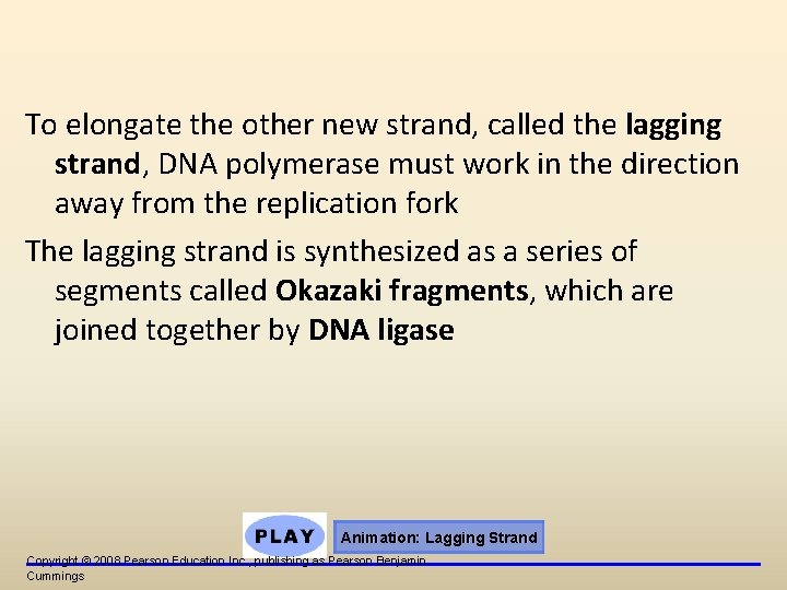 To elongate the other new strand, called the lagging strand, DNA polymerase must work