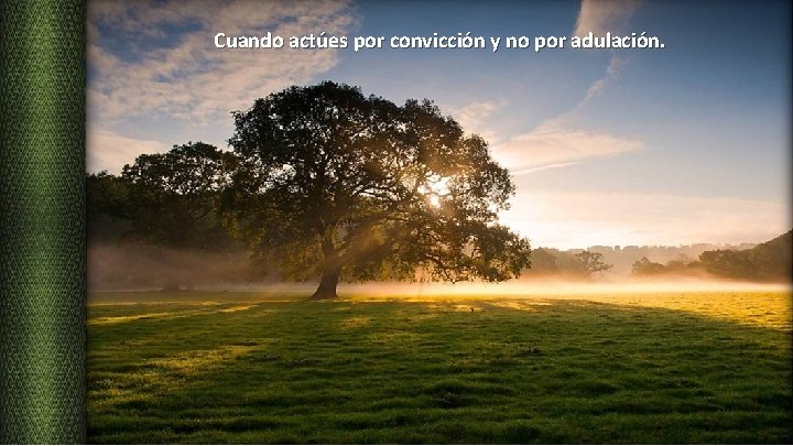 Cuando actúes por convicción y no por adulación. 