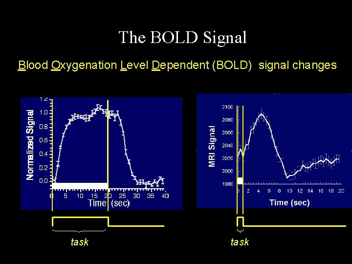 The BOLD Signal Blood Oxygenation Level Dependent (BOLD) signal changes task 