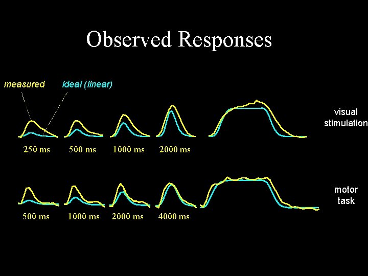Observed Responses measured ideal (linear) visual stimulation 250 ms 500 ms 1000 ms 2000