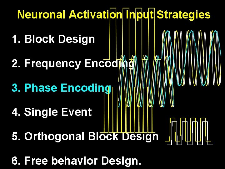 Neuronal Activation Input Strategies 1. Block Design 2. Frequency Encoding 3. Phase Encoding 4.