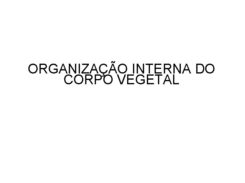 ORGANIZAÇÃO INTERNA DO CORPO VEGETAL 