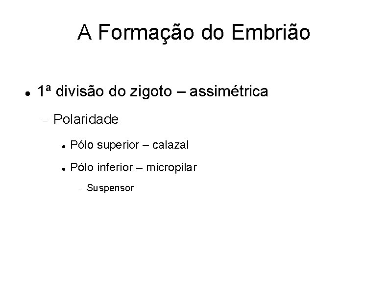 A Formação do Embrião 1ª divisão do zigoto – assimétrica Polaridade Pólo superior –
