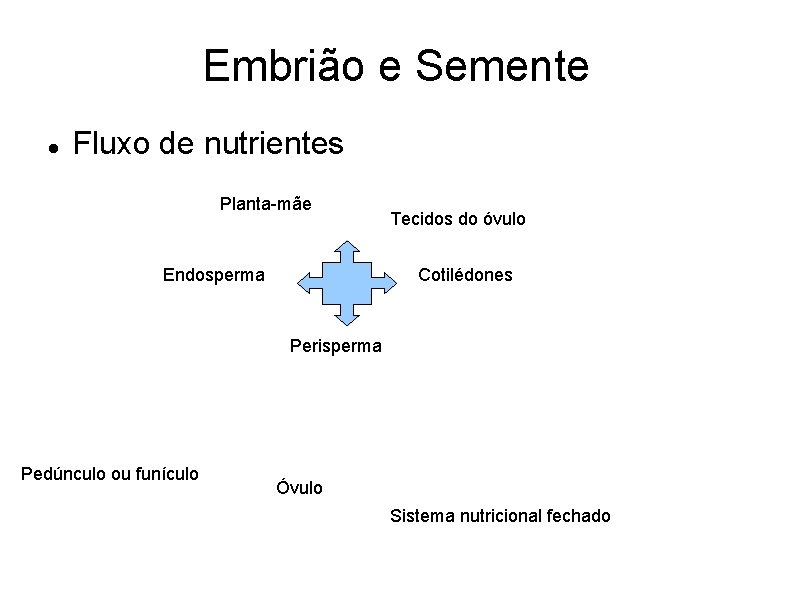 Embrião e Semente Fluxo de nutrientes Planta-mãe Endosperma Tecidos do óvulo Cotilédones Perisperma Pedúnculo