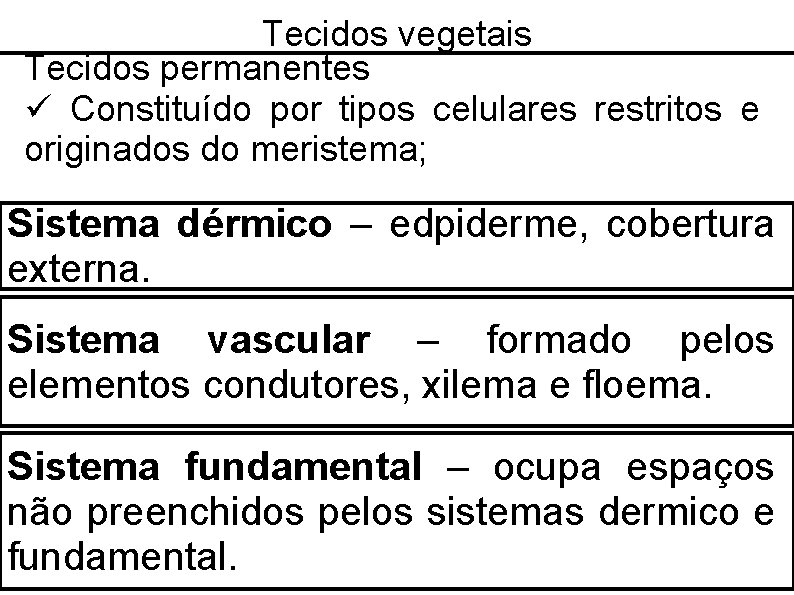 Tecidos vegetais Tecidos permanentes Constituído por tipos celulares restritos e originados do meristema; Sistema