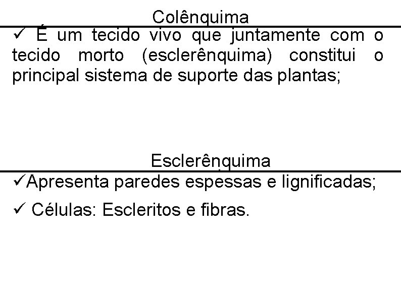 Colênquima É um tecido vivo que juntamente com o tecido morto (esclerênquima) constitui o