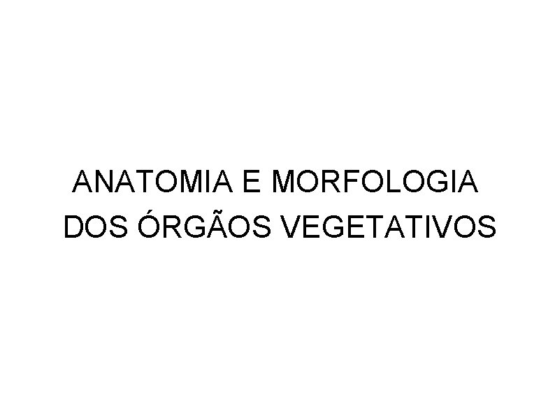 ANATOMIA E MORFOLOGIA DOS ÓRGÃOS VEGETATIVOS 