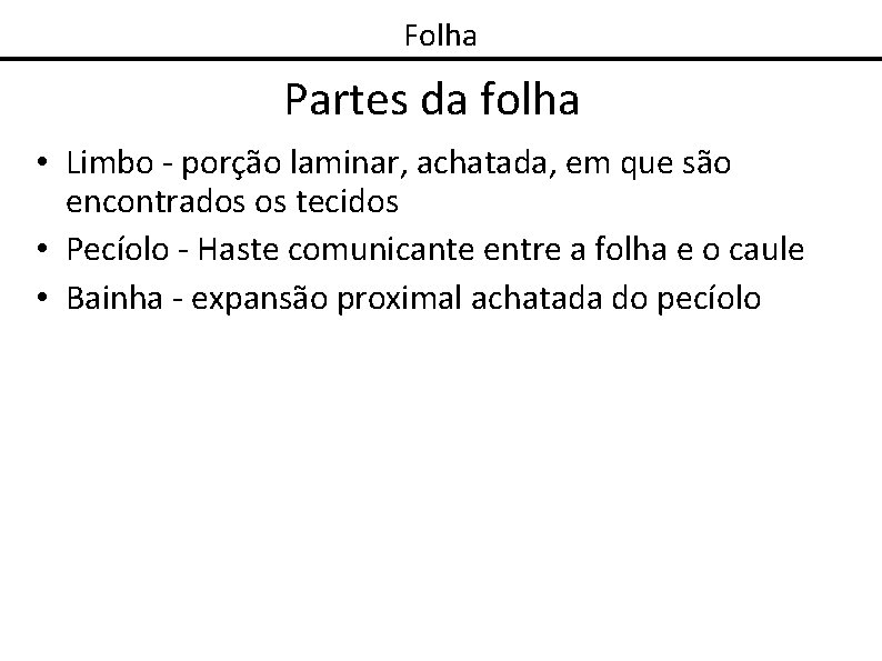 Folha Partes da folha • Limbo - porção laminar, achatada, em que são encontrados