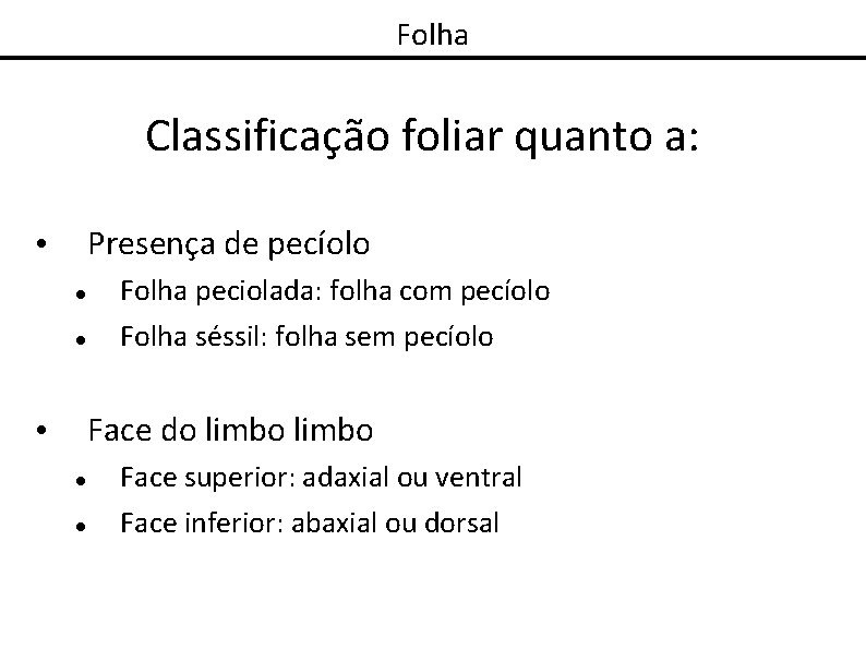 Folha Classificação foliar quanto a: Presença de pecíolo • Folha peciolada: folha com pecíolo