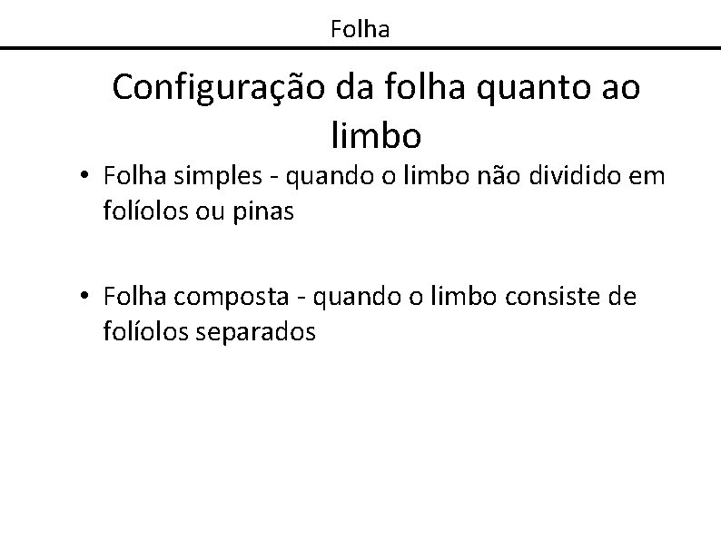 Folha Configuração da folha quanto ao limbo • Folha simples - quando o limbo