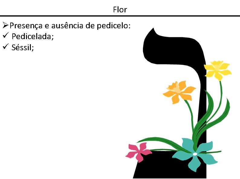 Flor Presença e ausência de pedicelo: Pedicelada; Séssil; 