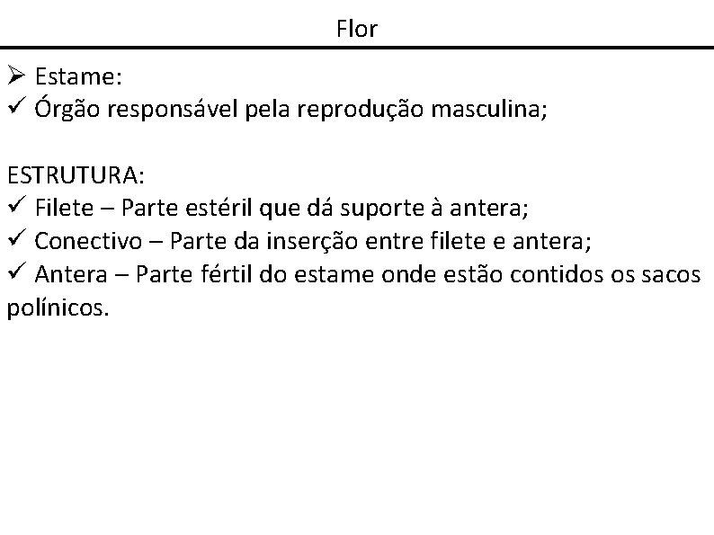 Flor Estame: Órgão responsável pela reprodução masculina; ESTRUTURA: Filete – Parte estéril que dá