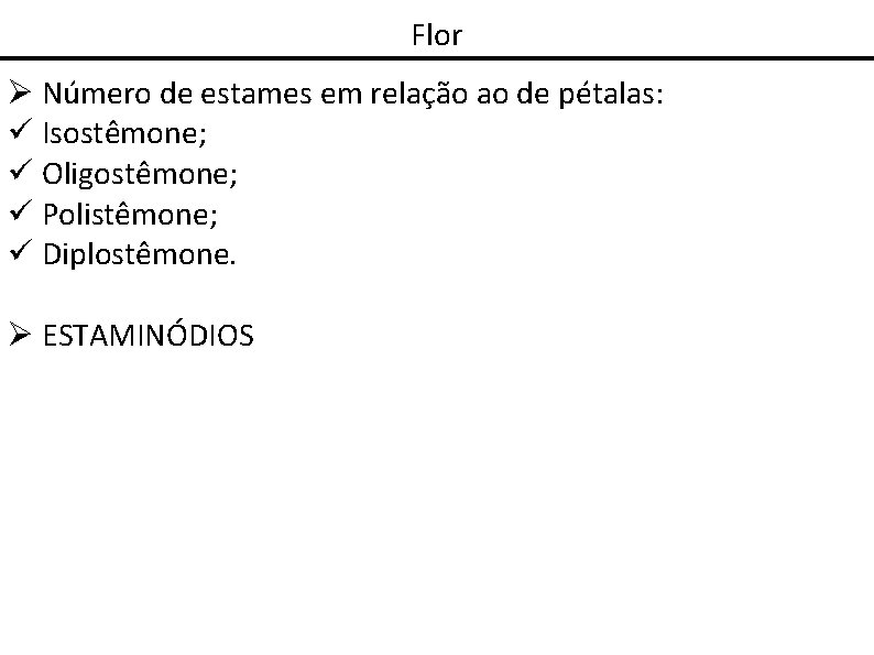 Flor Número de estames em relação ao de pétalas: Isostêmone; Oligostêmone; Polistêmone; Diplostêmone. ESTAMINÓDIOS