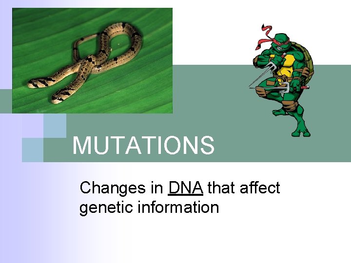 MUTATIONS Changes in DNA that affect genetic information