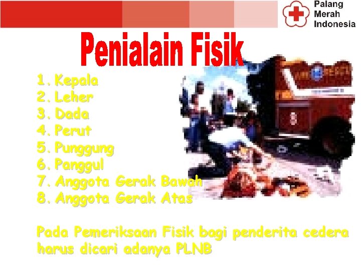 1. Kepala 2. Leher 3. Dada 4. Perut 5. Punggung 6. Panggul 7. Anggota 1. Kepala 2. Leher 3. Dada 4. Perut 5. Punggung 6. Panggul 7. Anggota