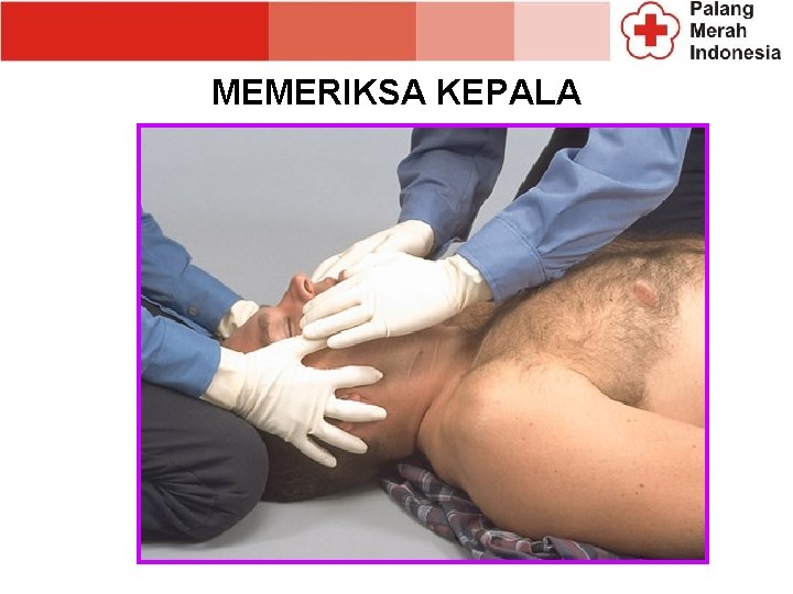 MEMERIKSA KEPALA MEMERIKSA KEPALA