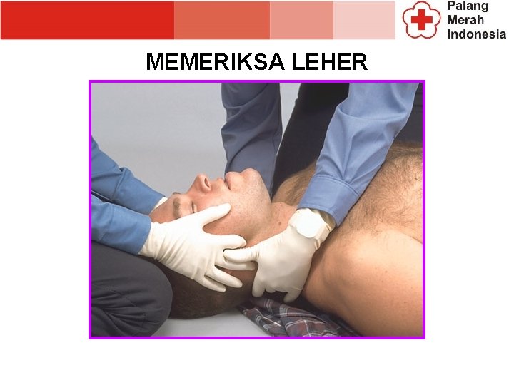 MEMERIKSA LEHER MEMERIKSA LEHER