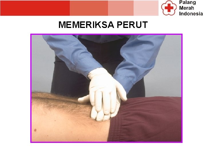 MEMERIKSA PERUT MEMERIKSA PERUT
