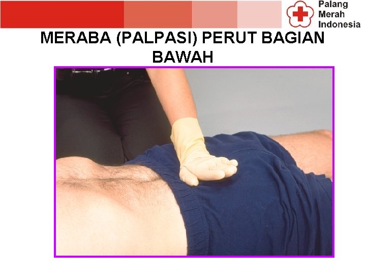 MERABA (PALPASI) PERUT BAGIAN BAWAH MERABA (PALPASI) PERUT BAGIAN BAWAH