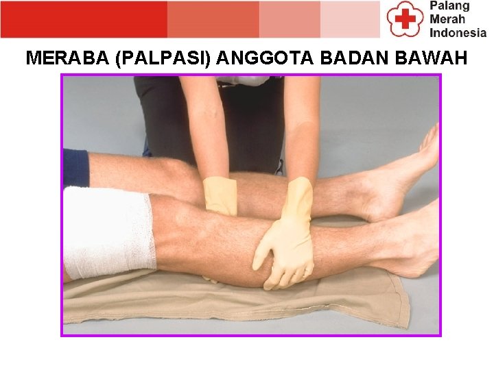 MERABA (PALPASI) ANGGOTA BADAN BAWAH MERABA (PALPASI) ANGGOTA BADAN BAWAH