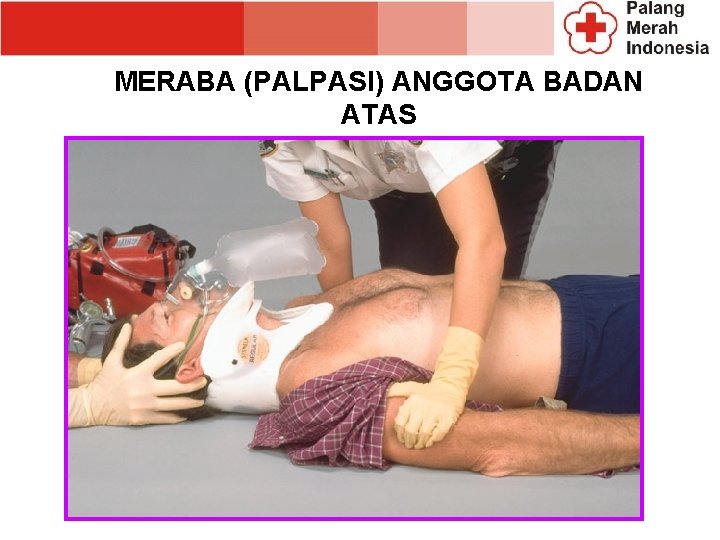 MERABA (PALPASI) ANGGOTA BADAN ATAS MERABA (PALPASI) ANGGOTA BADAN ATAS