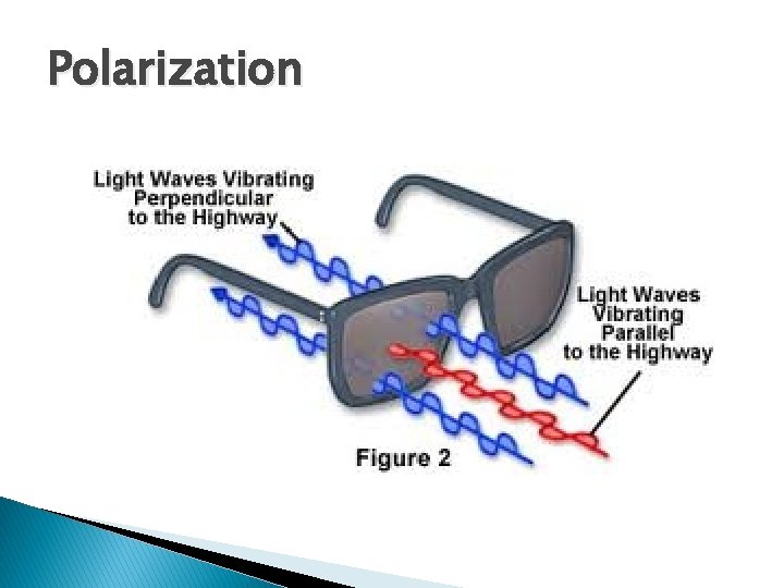 Polarization 