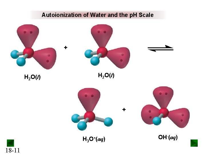 Autoionization of Water and the p. H Scale + H 2 O(l) + H