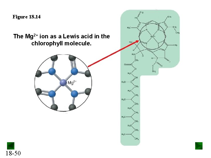 Figure 18. 14 The Mg 2+ ion as a Lewis acid in the chlorophyll