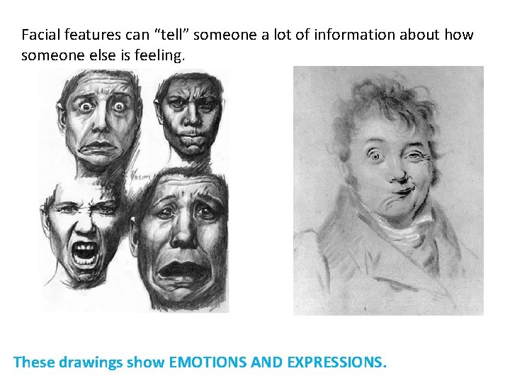 Facial features can “tell” someone a lot of information about how someone else is