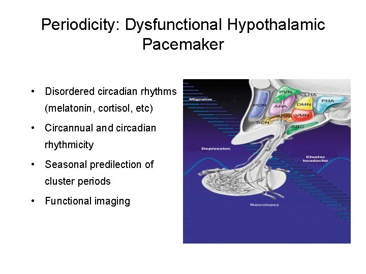 Periodicity: Dysfunctional Hypothalamic Pacemaker • Disordered circadian rhythms (melatonin, cortisol, etc) • Circannual and