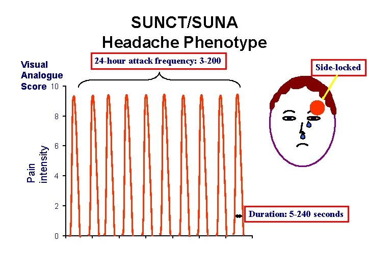 SUNCT/SUNA Headache Phenotype Visual Analogue Score 10 24 -hour attack frequency: 3 -200 Side-locked