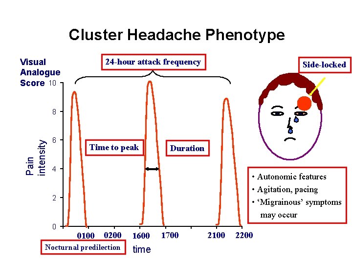 Cluster Headache Phenotype 24 -hour attack frequency Visual Analogue Score 10 Side-locked Pain intensity