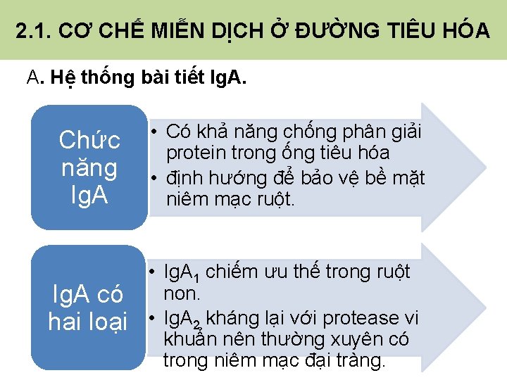 2. 1. CƠ CHẾ MIỄN DỊCH Ở ĐƯỜNG TIÊU HÓA A. Hệ thống bài