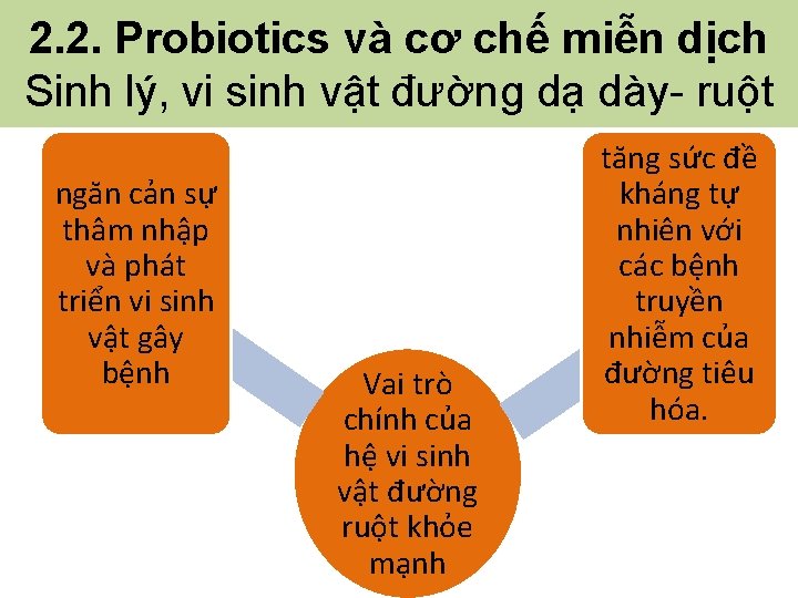 2. 2. Probiotics và cơ chế miễn dịch Sinh lý, vi sinh vật đường