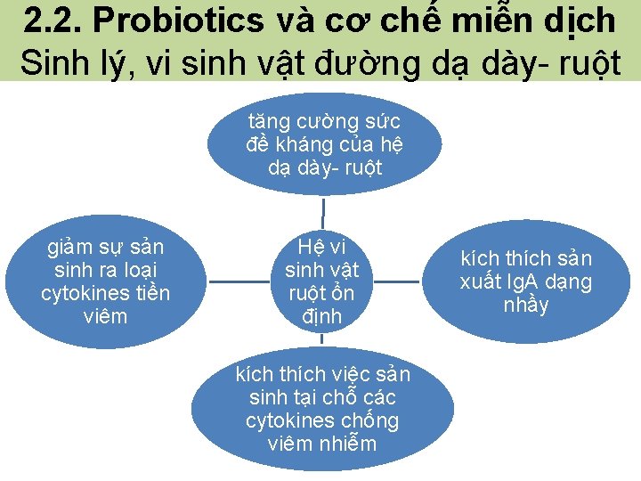 2. 2. Probiotics và cơ chế miễn dịch Sinh lý, vi sinh vật đường